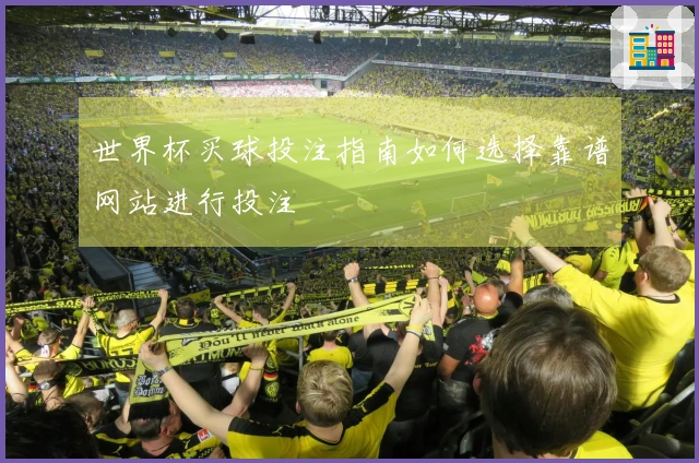 世界杯买球投注指南如何选择靠谱网站进行投注