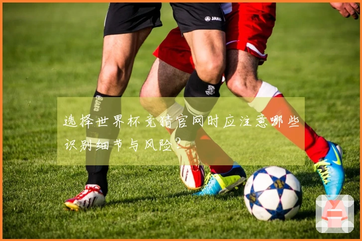 选择世界杯竞猜官网时应注意哪些识别细节与风险？