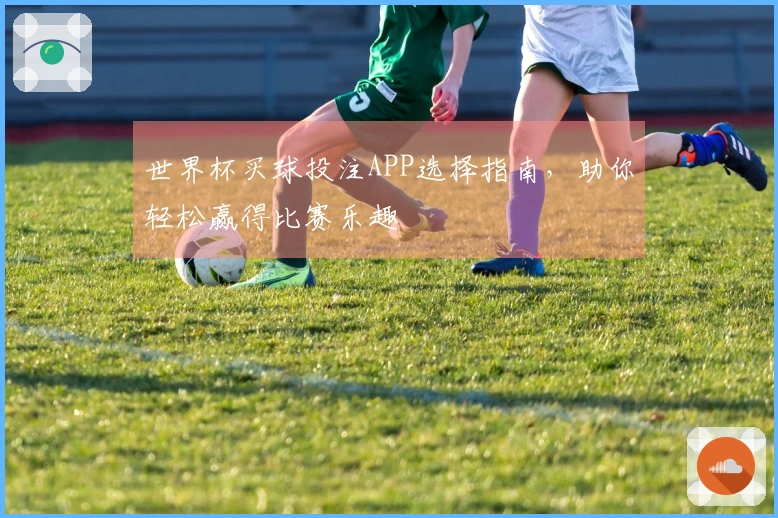 世界杯买球投注APP选择指南，助你轻松赢得比赛乐趣