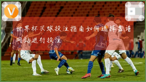 世界杯买球投注指南如何选择靠谱网站进行投注
