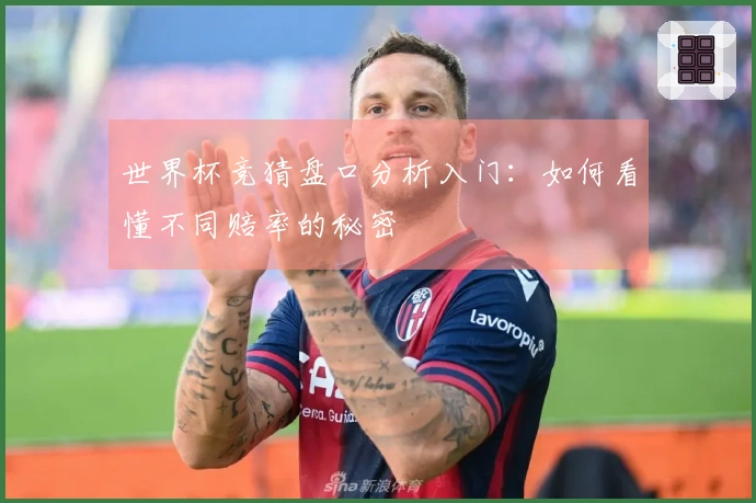 世界杯竞猜盘口分析入门：如何看懂不同赔率的秘密