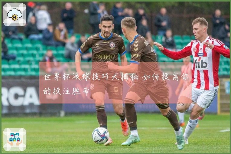 世界杯滚球技巧大揭秘 如何提高你的投注胜率