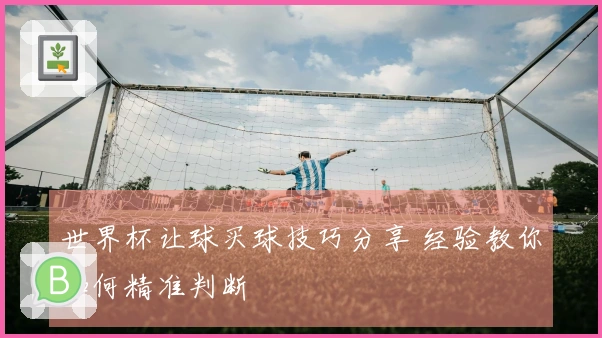 世界杯让球买球技巧分享 经验教你如何精准判断